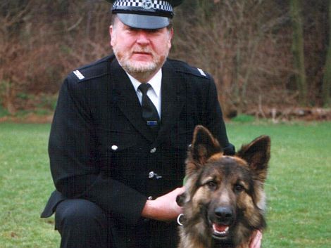 Trained Guard Dogs - www.countrysidekennels.co.uk